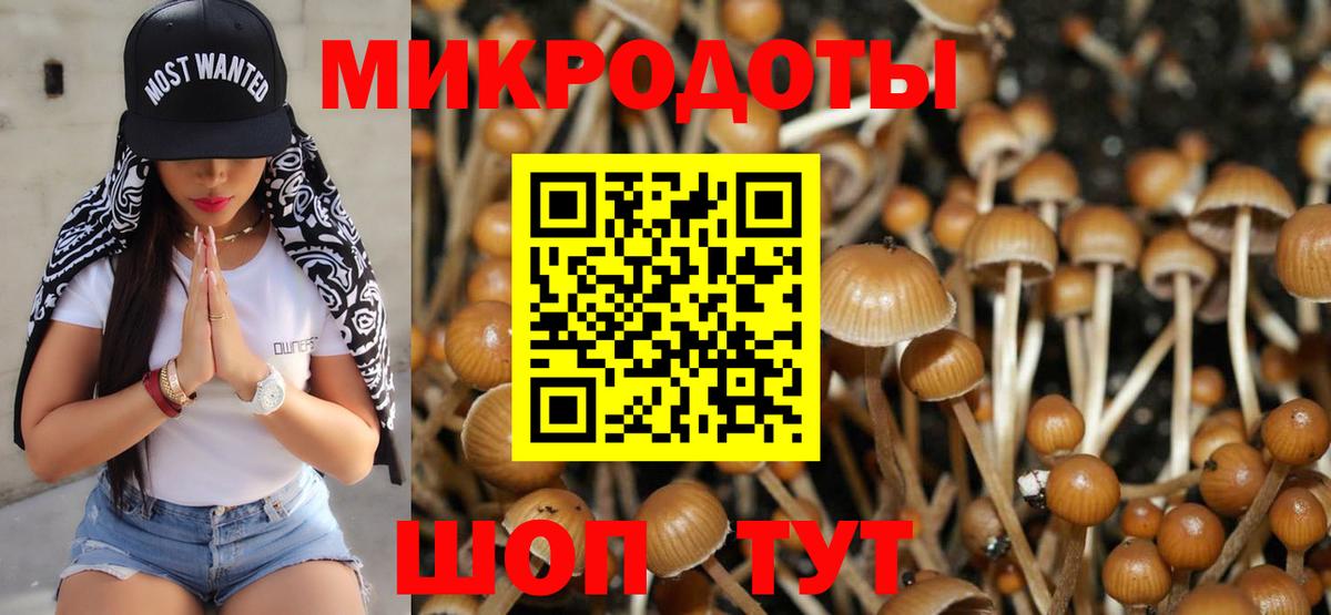 Псилоцибиновые грибы Psilocybine cubensis  Галлюциногенные грибы Psilocybine cubensis  Вход с VPN  как найти закладки  Арсеньев 